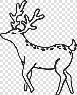 Buck Outline Buck Deer Rubber Stamp Outline Antler   Deer Clipart Outline  HD Png Download