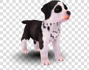 Download Zip Archive   Models Resource Nintendogs  HD Png Download