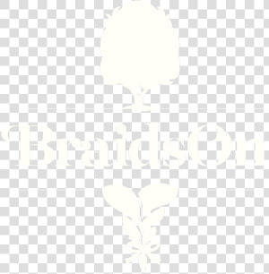 Braids Png  Transparent Png