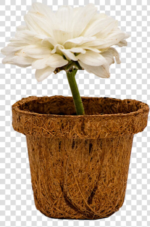 Beautiful Little Pot   Flowerpot  HD Png Download