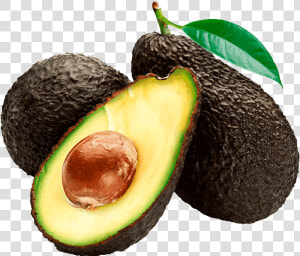 Imagen De La Palta Hass  HD Png Download