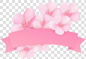  sakura  kirschblüte  banner  pink  rosa   Sakura Banner Png  Transparent Png