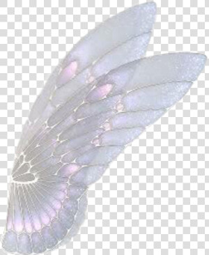  borboleta  tumblr  asa  anjo   Asas De Fada Em Png  Transparent Png