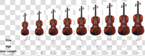 Viola Size Chart   Much Does A Violin Cost  HD Png Download