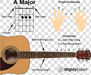 Transparent Boy Playing Guitar Clipart   Dreadnought Acoustic Guitar  HD Png Download