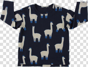 Tiny Cottons Ls Relaxed Tee Llamas   Tiny Cottons Alpaca  HD Png Download