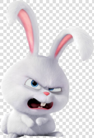 The Secret Life Of Pets Rabbit Snowball Png Image   Evil Snowball Secret Life Of Pets  Transparent Png