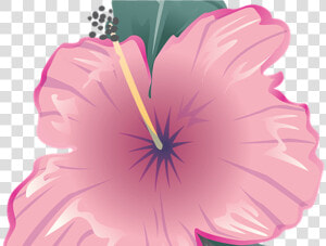 Flower Icon Symbol Free Image On Pixabay   Bunga Icon Png Pink  Transparent Png