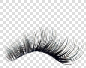 Eyelash Extensions  HD Png Download