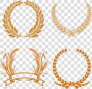 Wheat Vector Round   Transparent Laurel Wreath Crown Png  Png Download