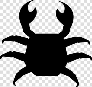 Crab   Top View Of Animals  HD Png Download