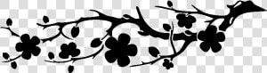 Cherry Blossom Drawing Sticker   Drawing Japanese Cherry Blossom  HD Png Download