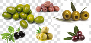 Olives   Png Download   Arbequina Evoo  Transparent Png