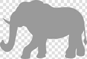 Animal Safari Elephant Svg Cut File   Black Rhinoceros  HD Png Download