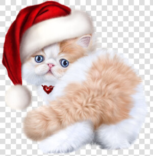 Tubes Noel Chat Cat   Baby Kitten Cats  HD Png Download