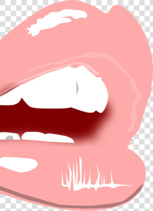 Which Color Are You   Transparent Lip Drawing Png  Png Download