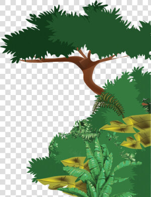 Transparent Jungle Border Png   Drawing Of Tropical Evergreen Forest  Png Download