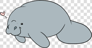 Manatee Clipart  HD Png Download