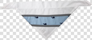 Reflective Dog Bandana   Underpants  HD Png Download