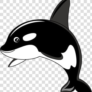 Orca Whale Clipart Orca Whale Clipart Clipart Panda   Killer Whale Clipart Png  Transparent Png