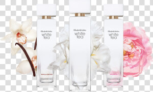 The White Tea Collection Celebrates The Pleasure Of   Elizabeth Arden White Tea Vanilla Orchid  HD Png Download