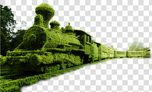  train  topiary  garden  locomotive  transportation   Topiary Train  HD Png Download