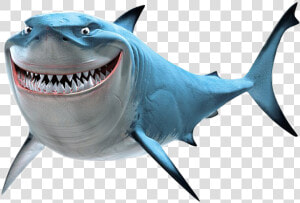 Findingnemo Bruce Shark Scseacreatures   Bruce Finding Nemo Png  Transparent Png