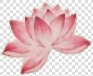  flower  tattoo  interesting  art  people  freetoedit   Sacred Lotus  HD Png Download