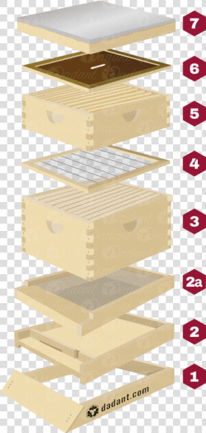 Components Of A Beehive By Dadant  amp  Sons   Plywood  HD Png Download