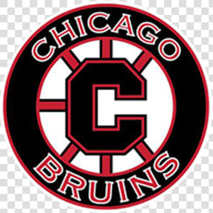 Chicago Bruins  HD Png Download