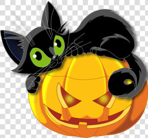 Large Transparent Halloween Pumpkin With Black Cat   Halloween Cat And Pumpkin  HD Png Download