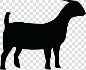 Goat Boer Clipart Clip Art Free Head Transparent Png   Labrador Retriever Silhouette Png  Png Download