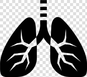 This Picture Is Of The Icon Lungs   Lungs Icon  HD Png Download