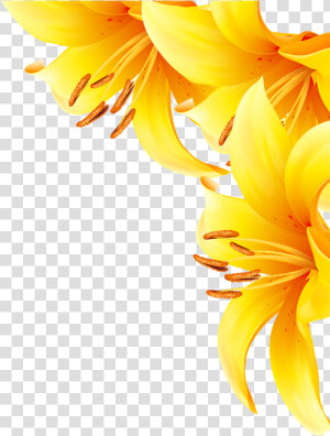 Common Sunflower Yellow   Sunflower  HD Png Download