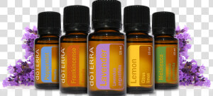 Doterra Oils  HD Png Download