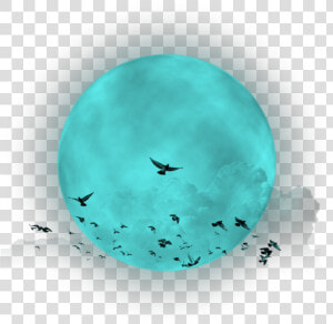 Fullmoon Birds Clouds Turquoise Heaven Sky Moon   Birds Cutout  HD Png Download