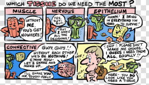 Which Tissue Do We Need The Most   Comic Strips About Connective Tissue  HD Png Download