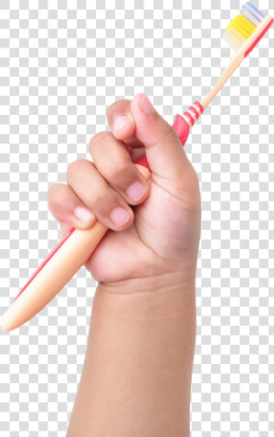 Child Hand Holding Toothbrush  HD Png Download