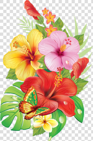 Free Download Images Of Beautiful Flowers   Free Tropical Flower Vector  HD Png Download