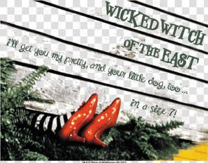 Wizard Of Oz Size 7 Women S T shirt   Wicked Witch Legs Under House  HD Png Download