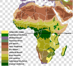 Vegetation Africa   Ancient Africa Geography  HD Png Download