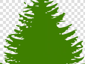 Fir Tree Clipart Forrest Tree   Evergreen Tree Silhouette Png  Transparent Png