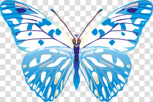 Butterfly Png Images Png   Butterfly Vector Images Png  Transparent Png