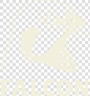 1 Falcon Logo   Falcon Beer Logo  HD Png Download