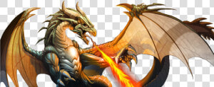 A Very Cool Dragon   Dragones De Fuego Png  Transparent Png