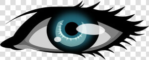 Eyeball Vector   Blue Eye Clip Art  HD Png Download