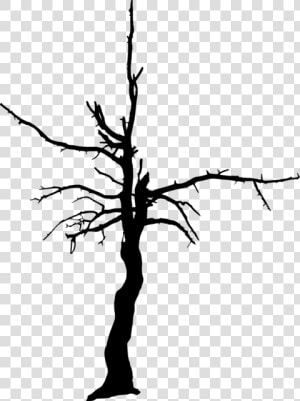 Dead Tree Silhouette Png   Dead Tree Silhouette Transparent Background  Png Download