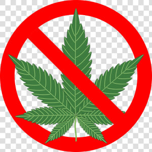 Cannabis 1254745 1280   No Cannabis Png  Transparent Png