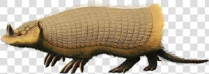 Peltephilus Ferox  An Armadillo From The Early Miocene   Peltephilus  HD Png Download