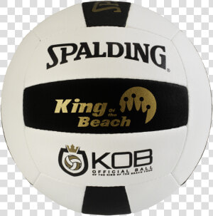 Wilson Volleyball Png   Most Expensive Volleyball Ball  Transparent Png